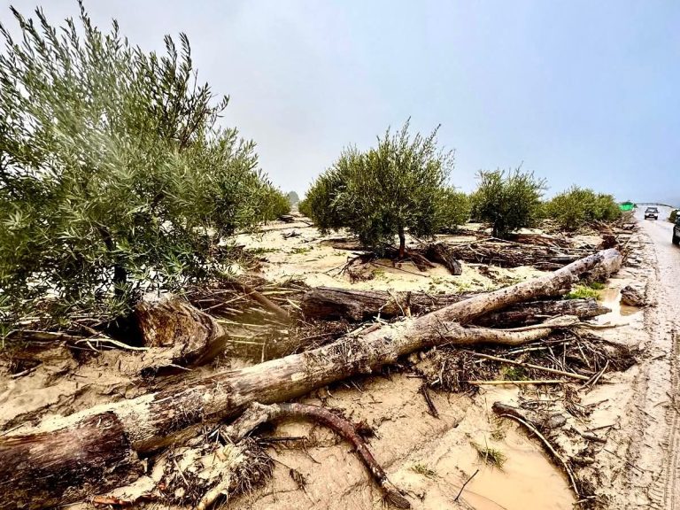 Efectos del los distintos temporales en Huétor Tájar (Granada), según esta fotografía difundida por su Ayuntamiento