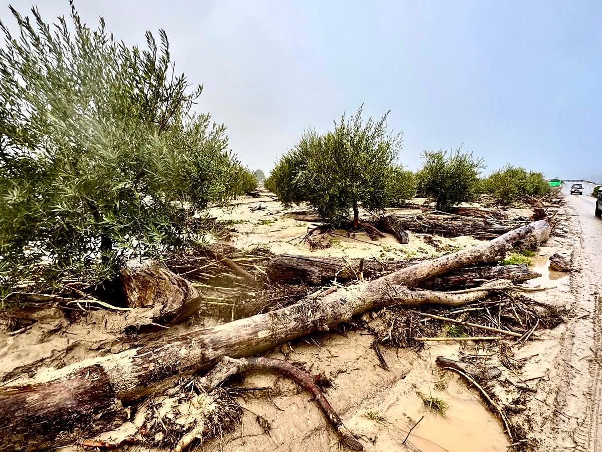 Efectos del los distintos temporales en Huétor Tájar (Granada), según esta fotografía difundida por su Ayuntamiento